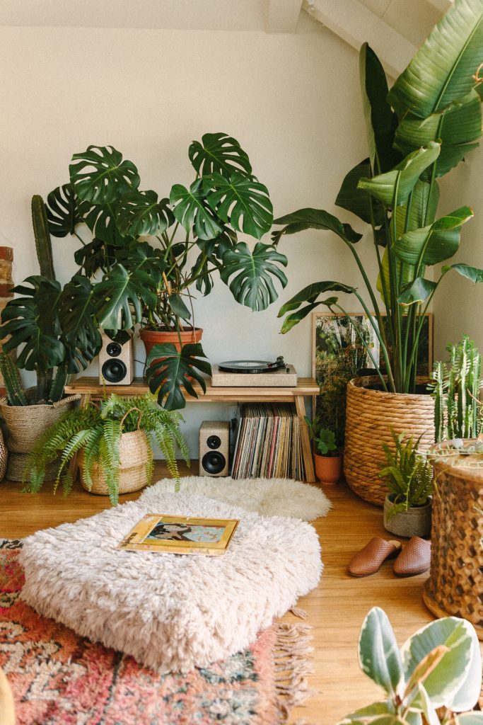 Aesthetic Vinyl Record Setup with a little jungle overgrowth